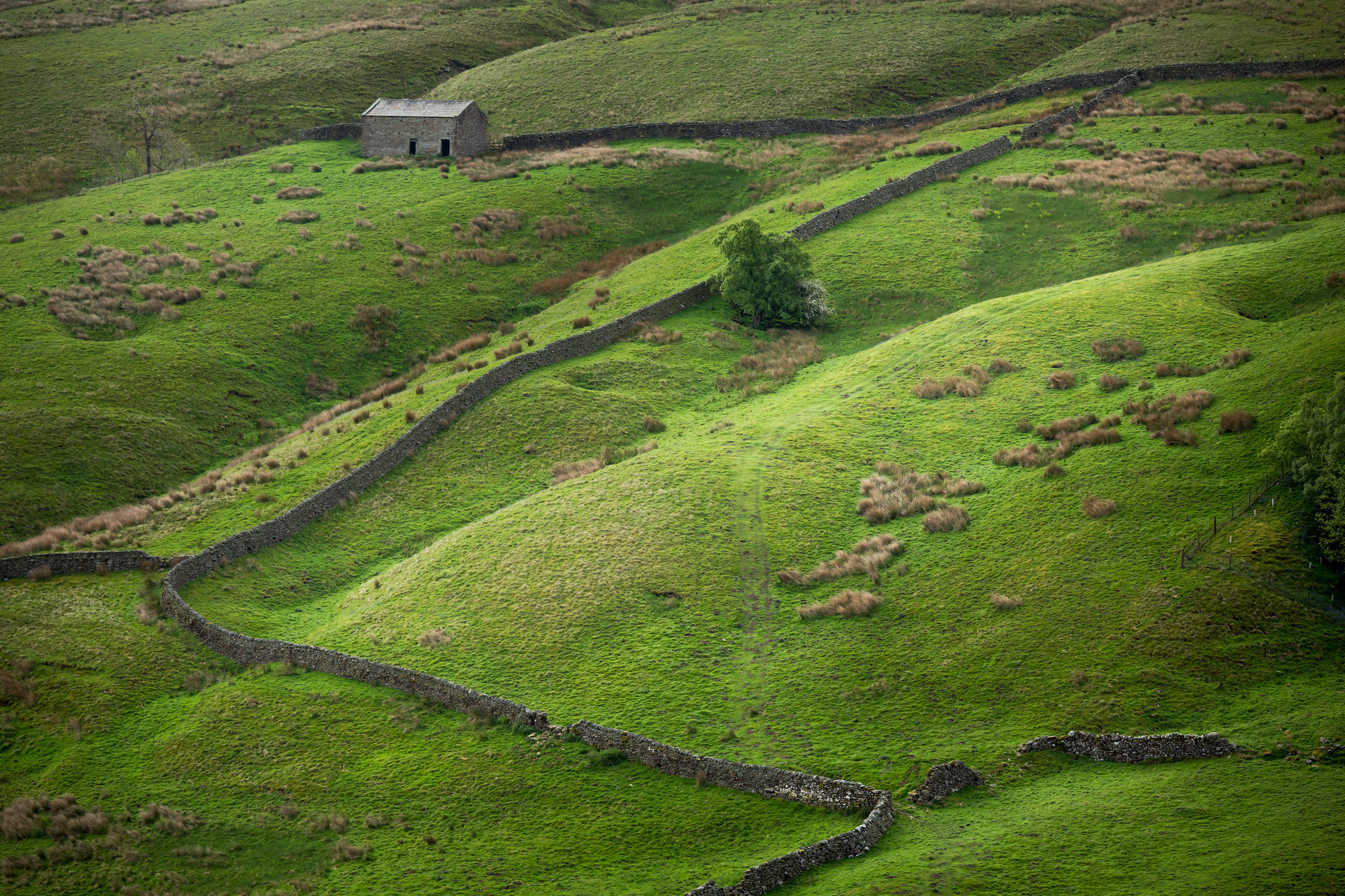 Drystone walls in Horsehouse in the Yorkshire Dales