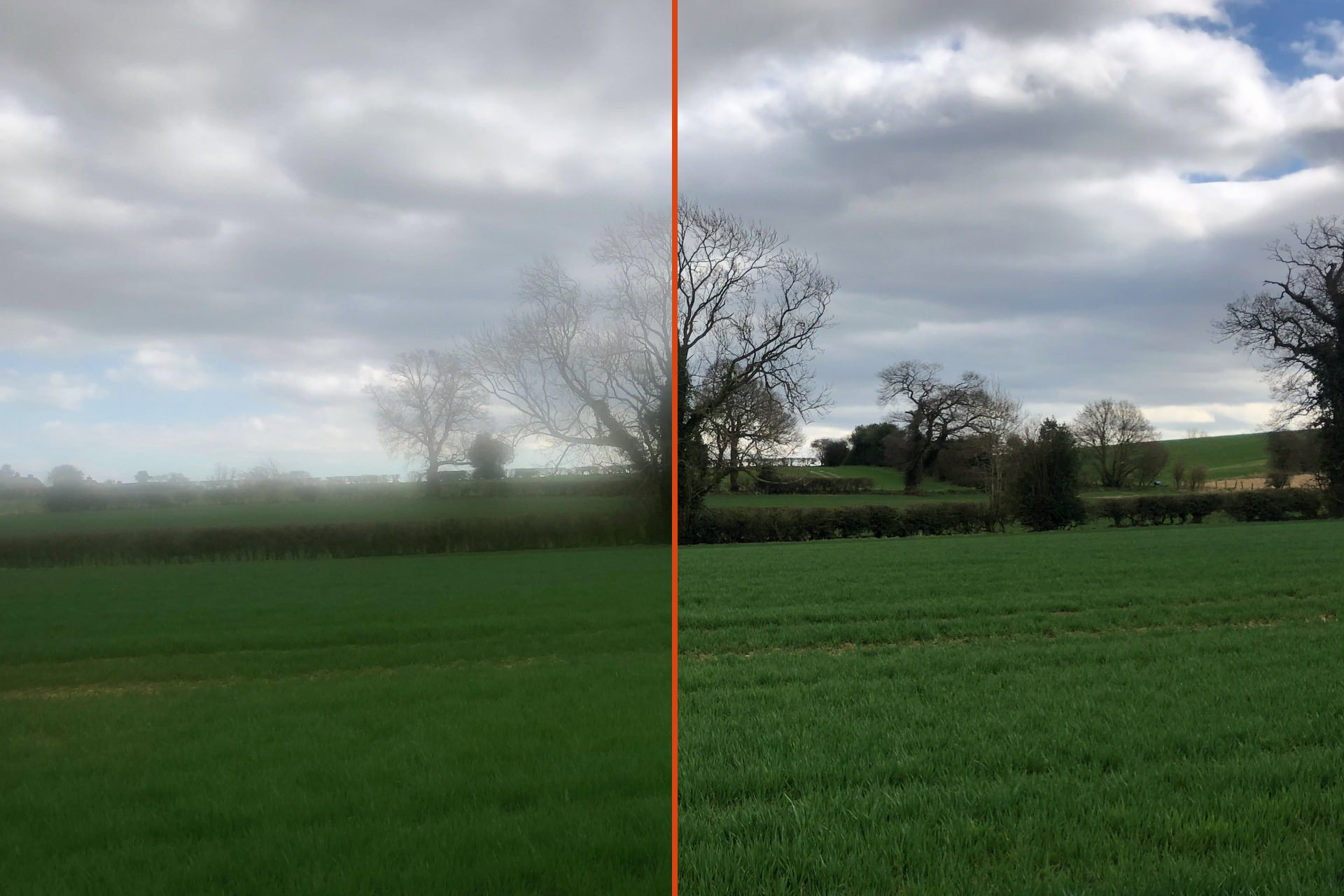 Split view showing a scene where the left is blurred due to a dirty lens and the right is sharp as the lens is clean
