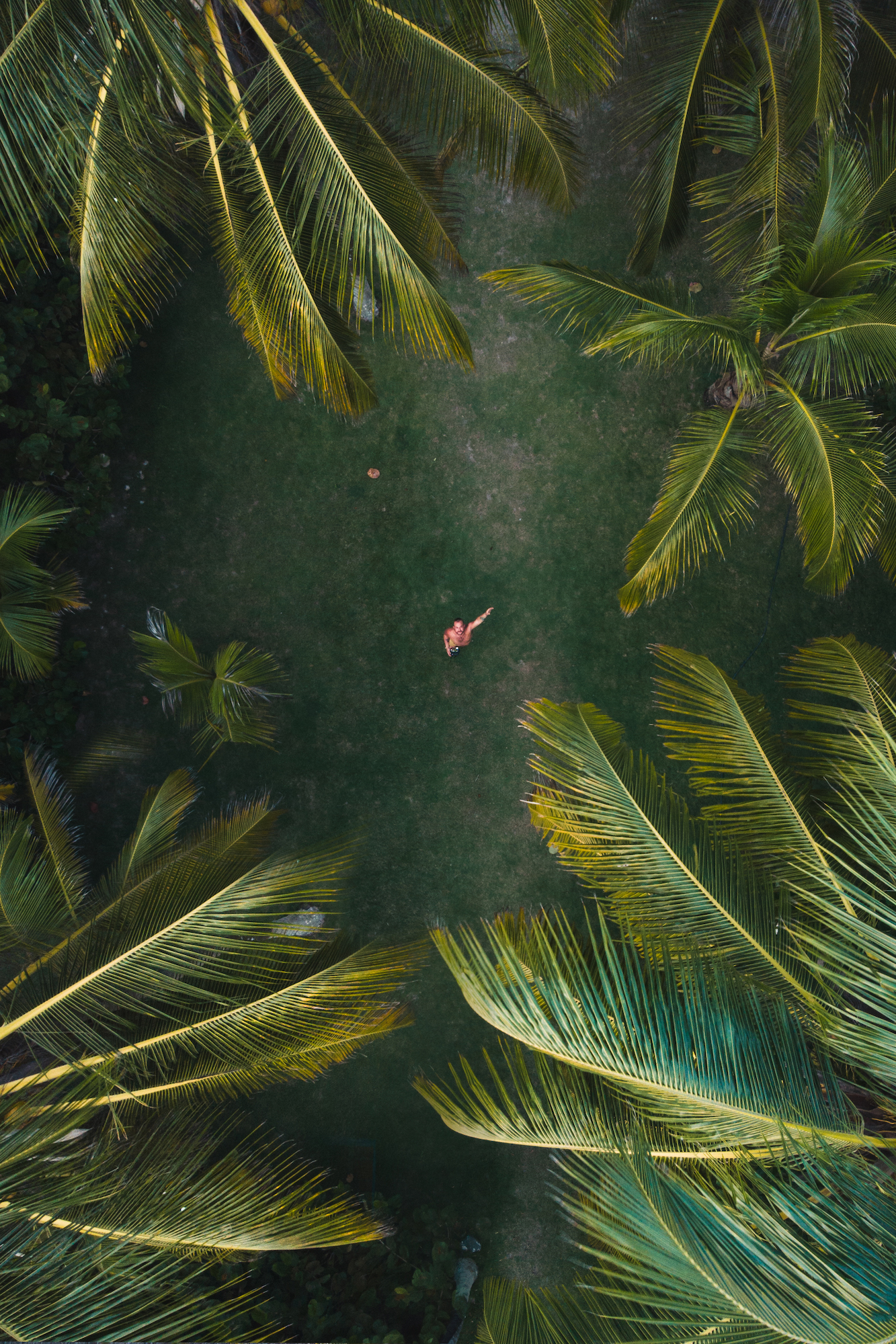 An aerial shot of a man surrounded by palm trees near the beaches of Palomino, Colombia