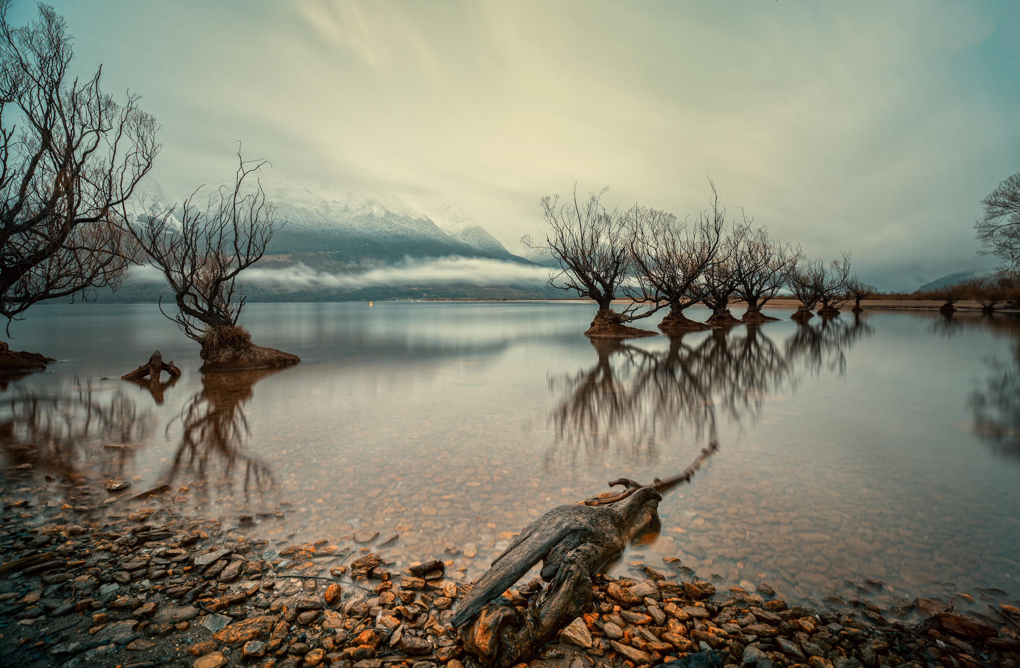 Landscape composition of the Willows of Glenorchy, New Zealand, on a moody rainy morning