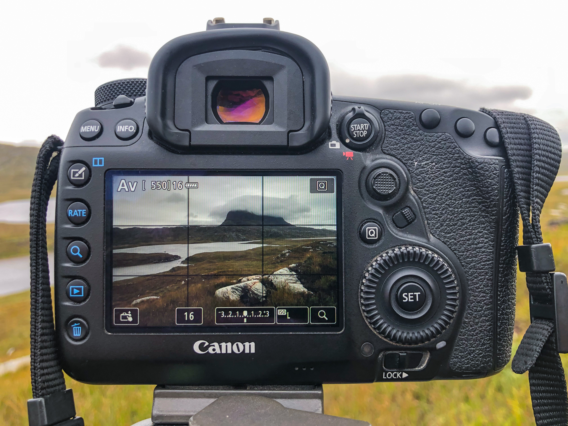 LCD view of a composition on the back of a digital camera with a Rule of Thirds overlay
