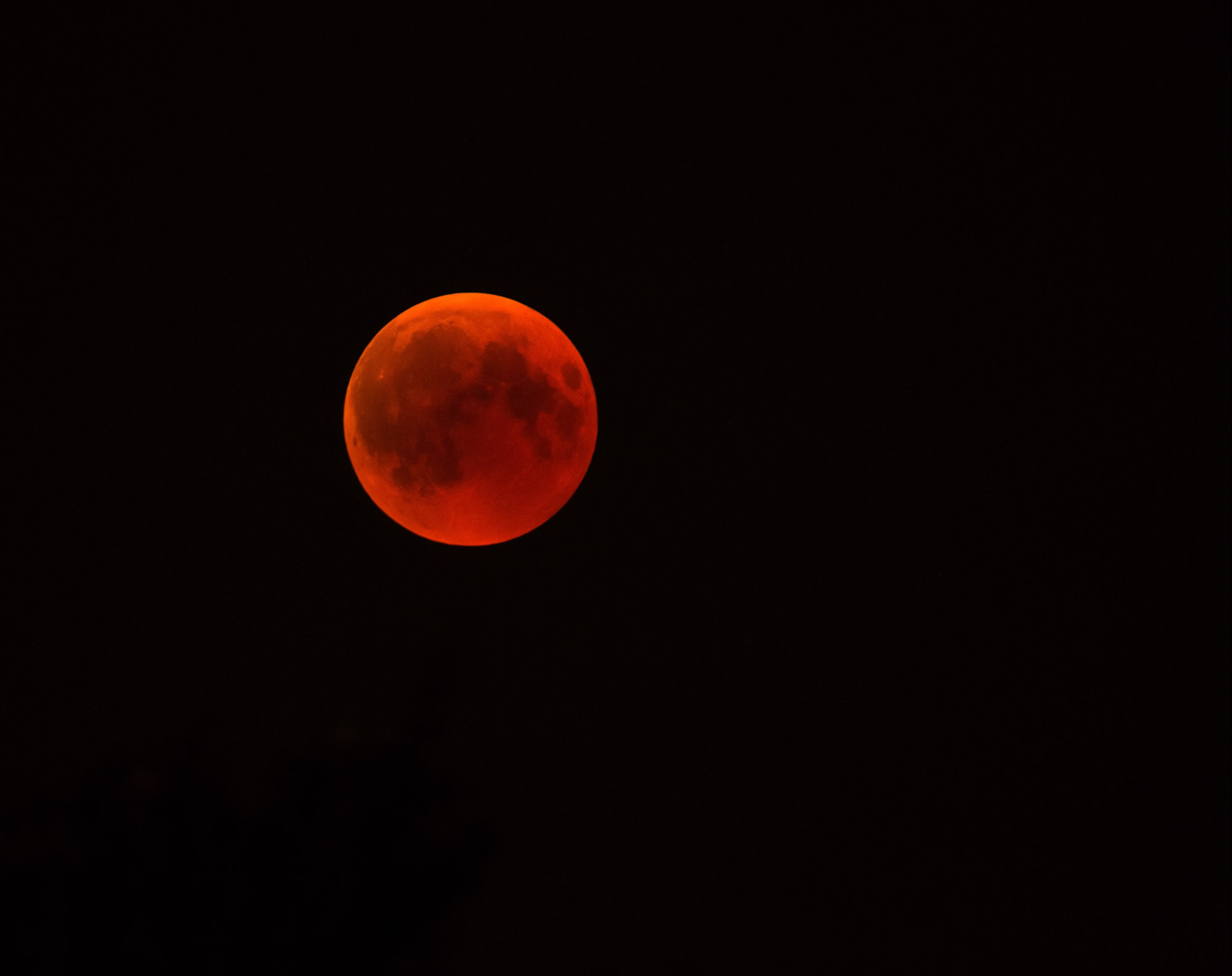 The blood moon in full view