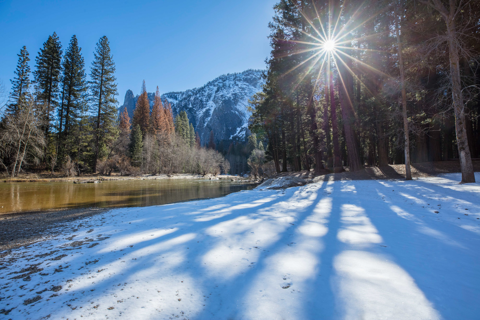 Light shining through the trees in Winter at Yosemite National Park, USA