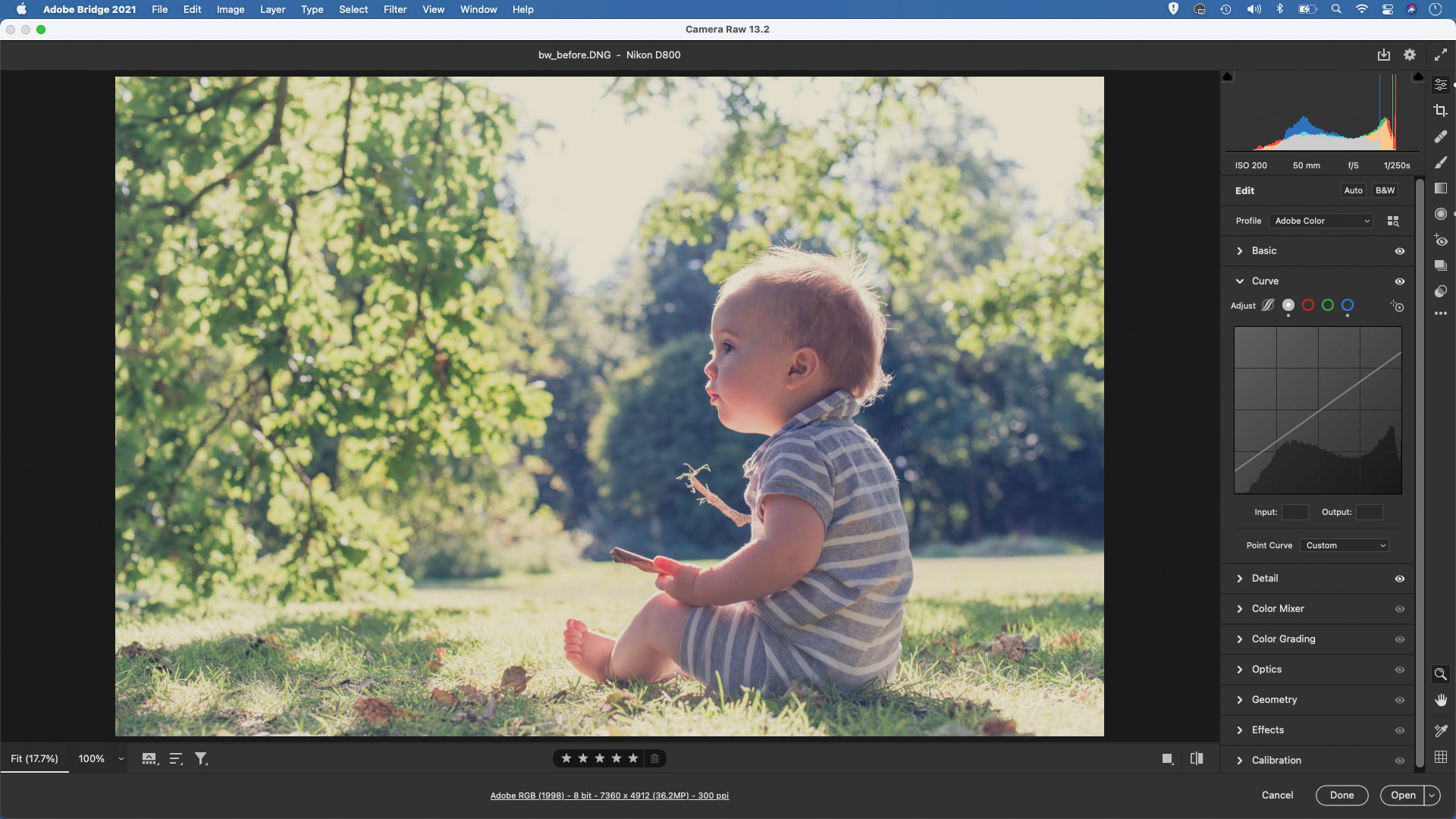 Creating the matte look with the Lightroom Camera Raw tone curve feature