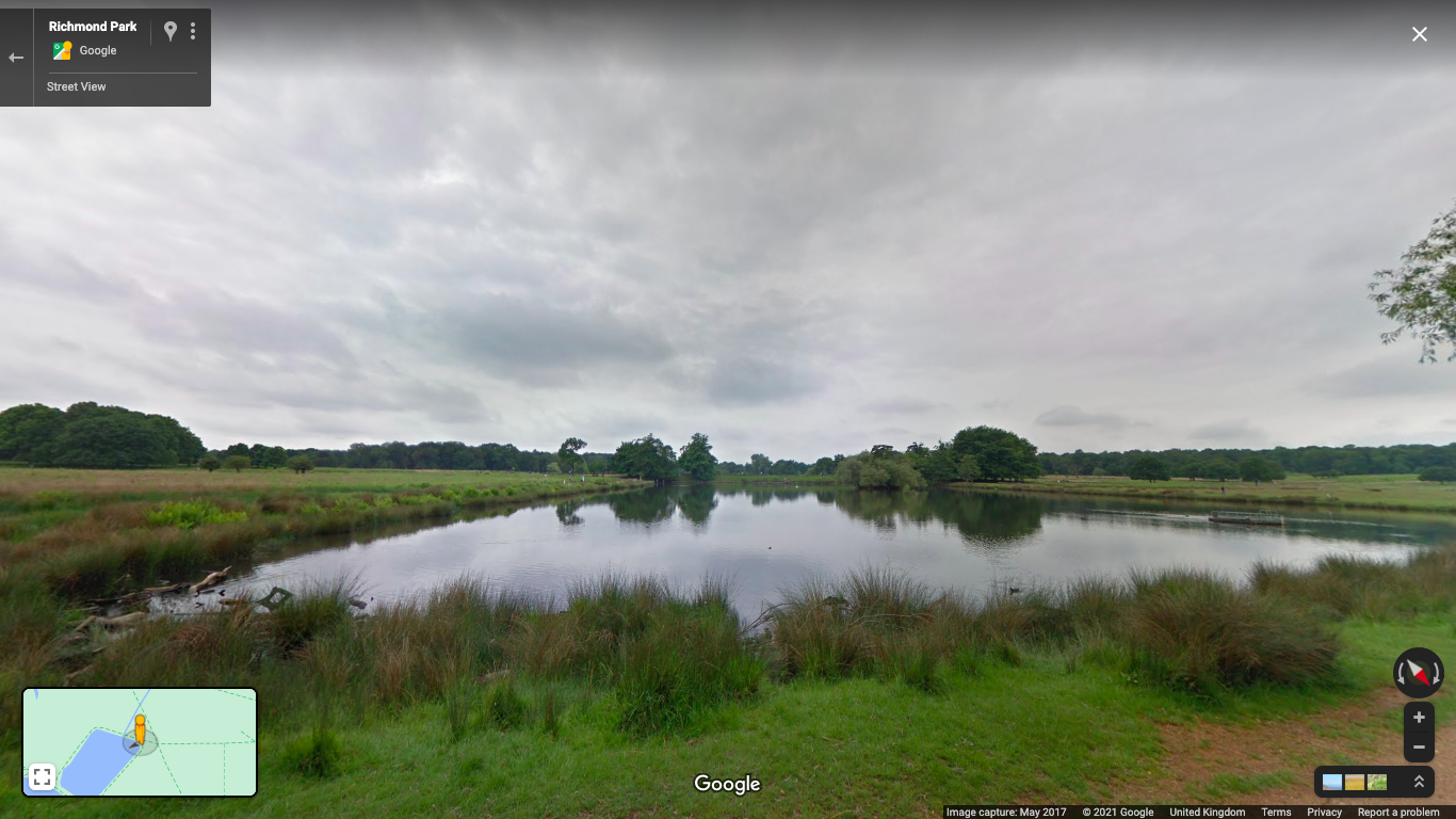 Street view of Richmond Park London