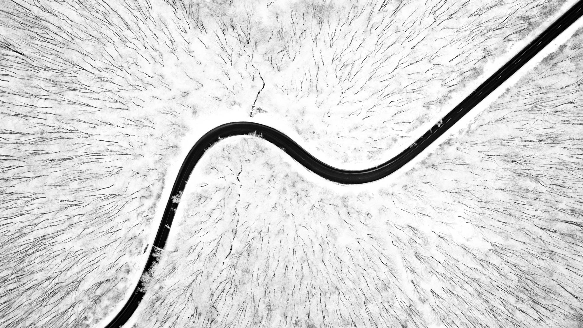 Aerial view of a bending road in the middle of a winter forest