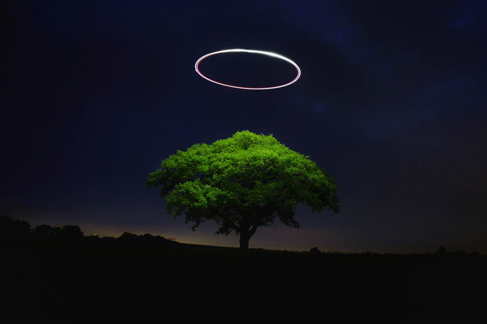 Light trails of a drone lighting up a tree at night