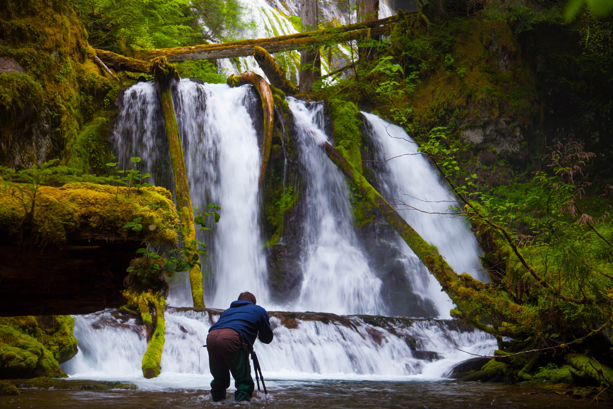 A photographer takes a picture of Lower Panther Falls along Panther Creek near Carson, Washington.