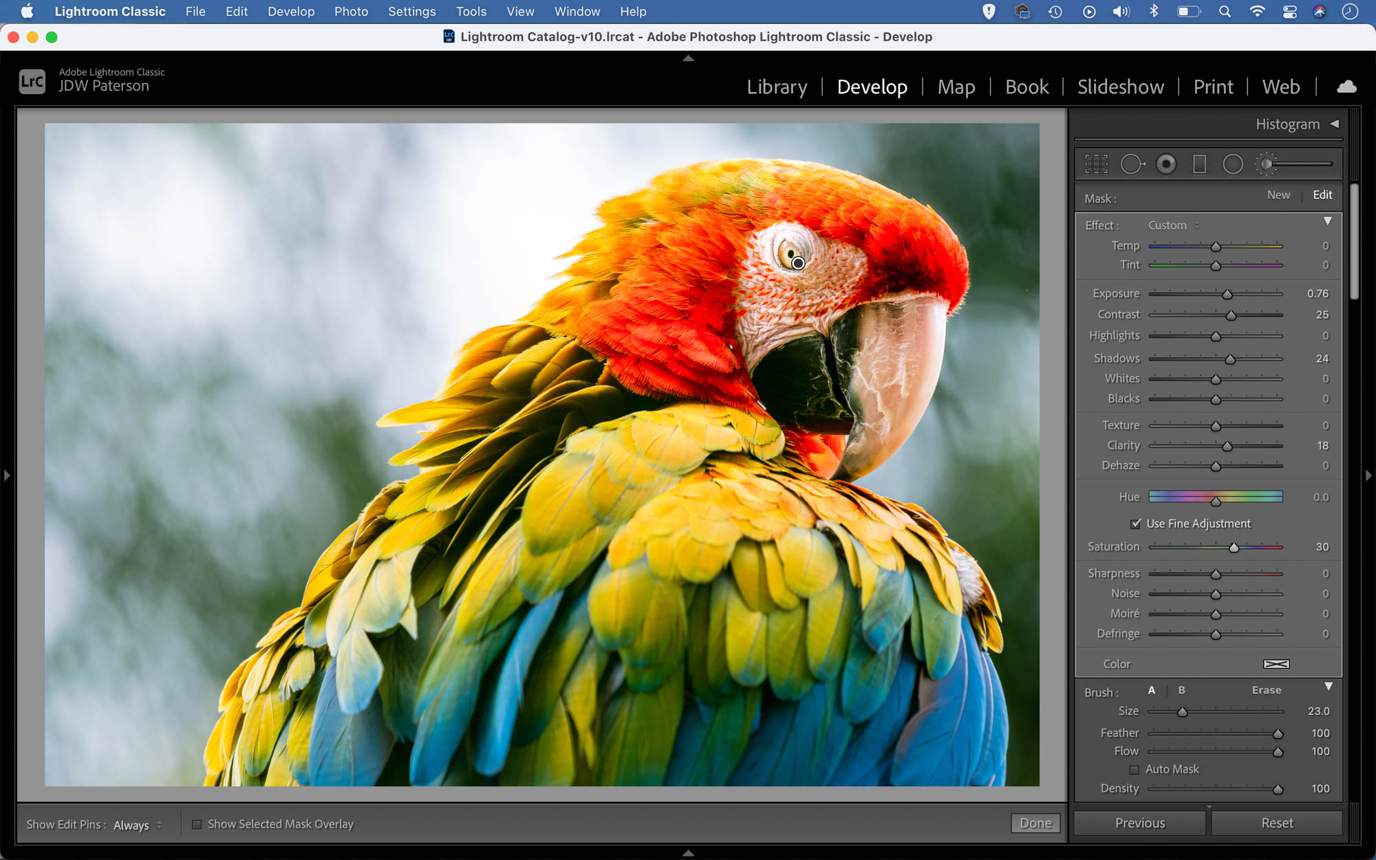 Portrait of a parrot as seen in Adobe Lightroom