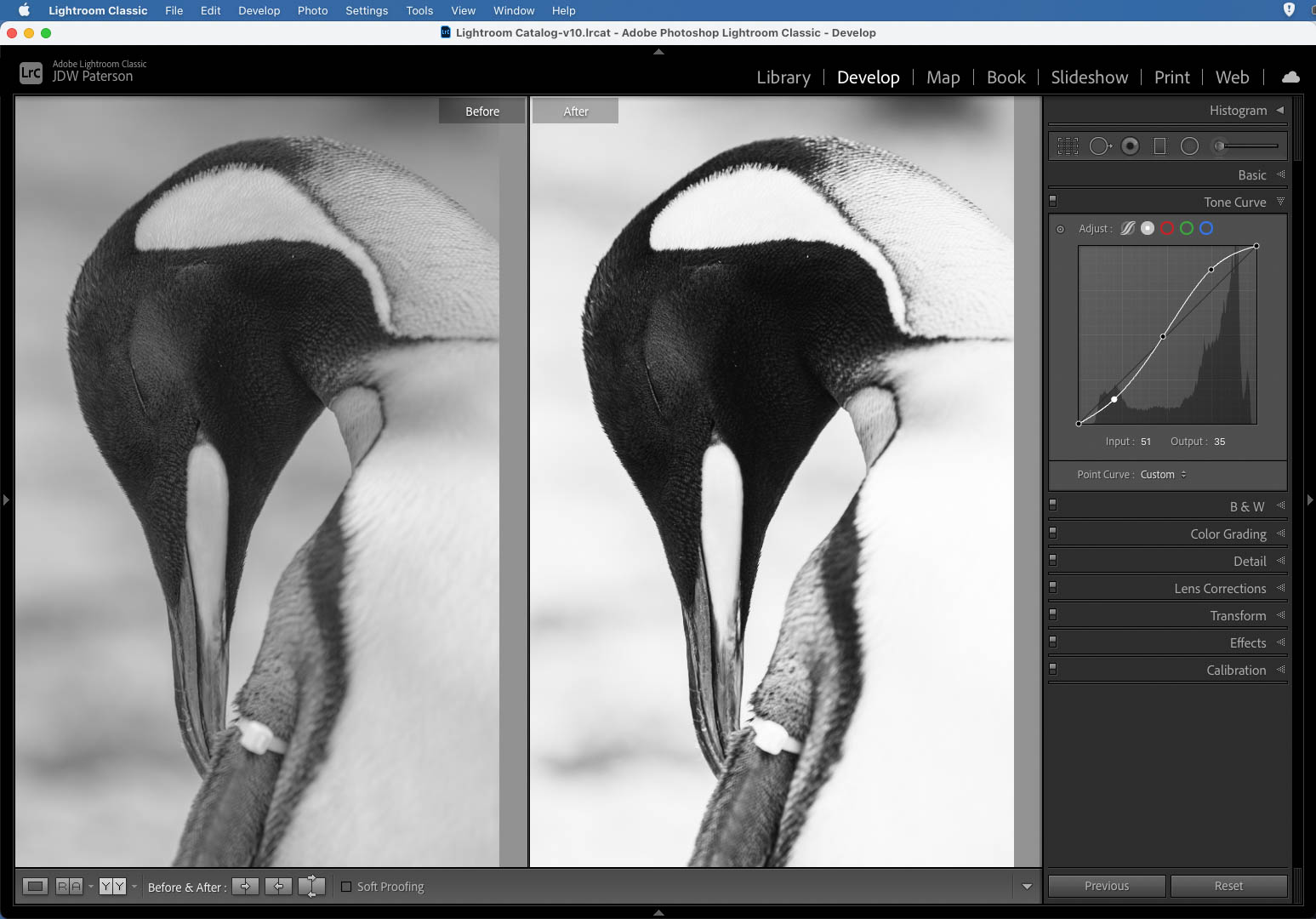 Creating an S-shaped curve in Lightroom to enhance black and white tones