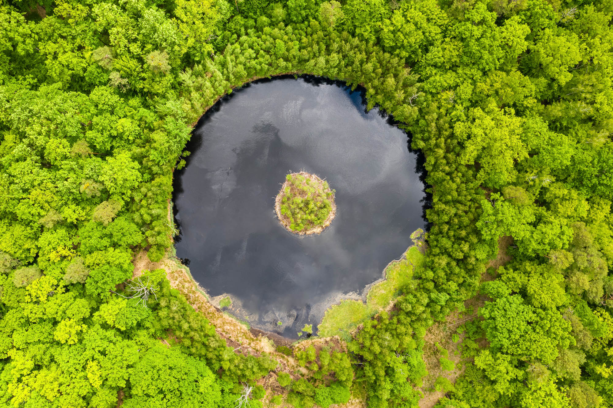 Round lake with island in the middle among forest, aerial view.