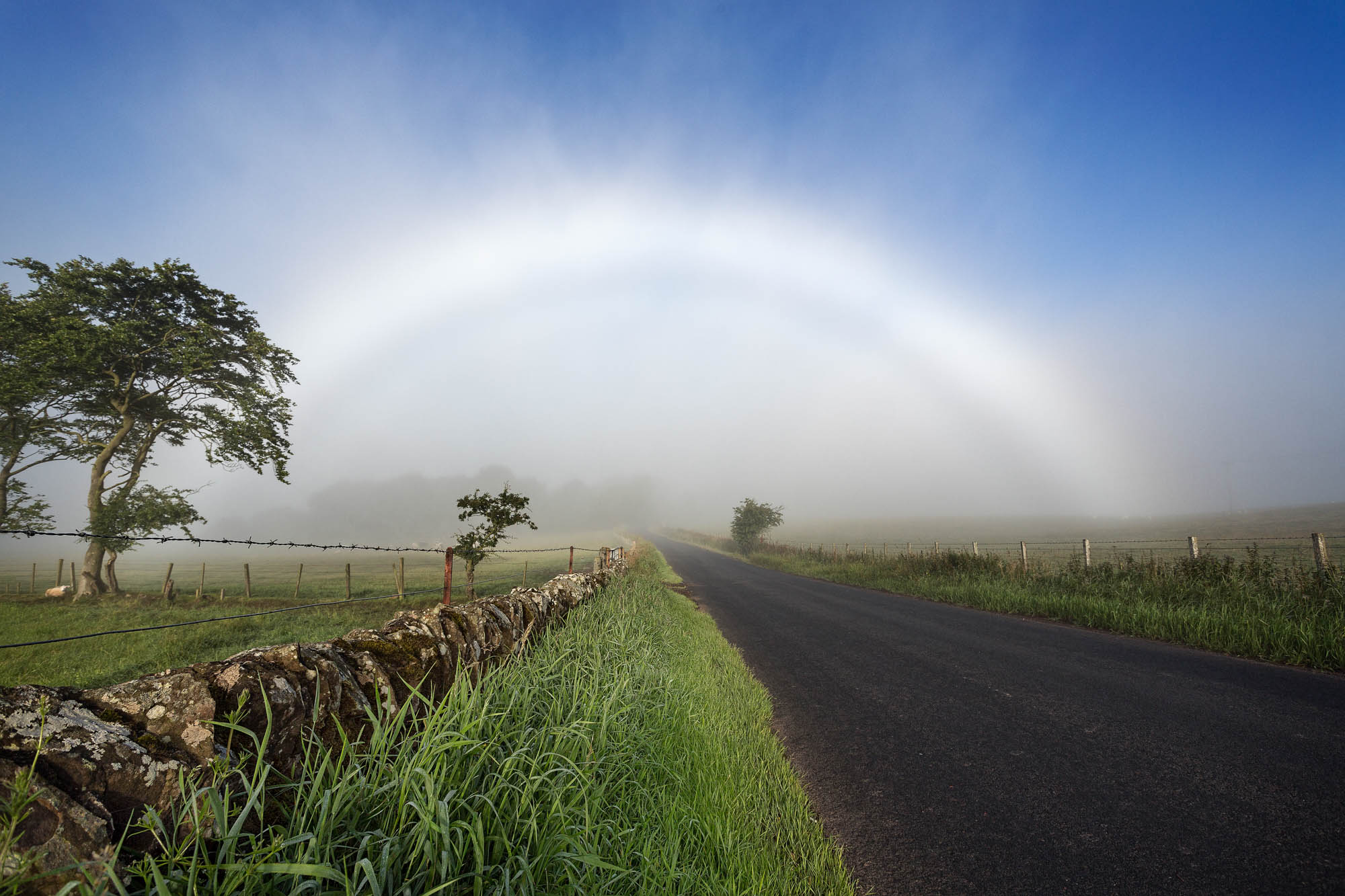 A white rainbow also known as a fogbow