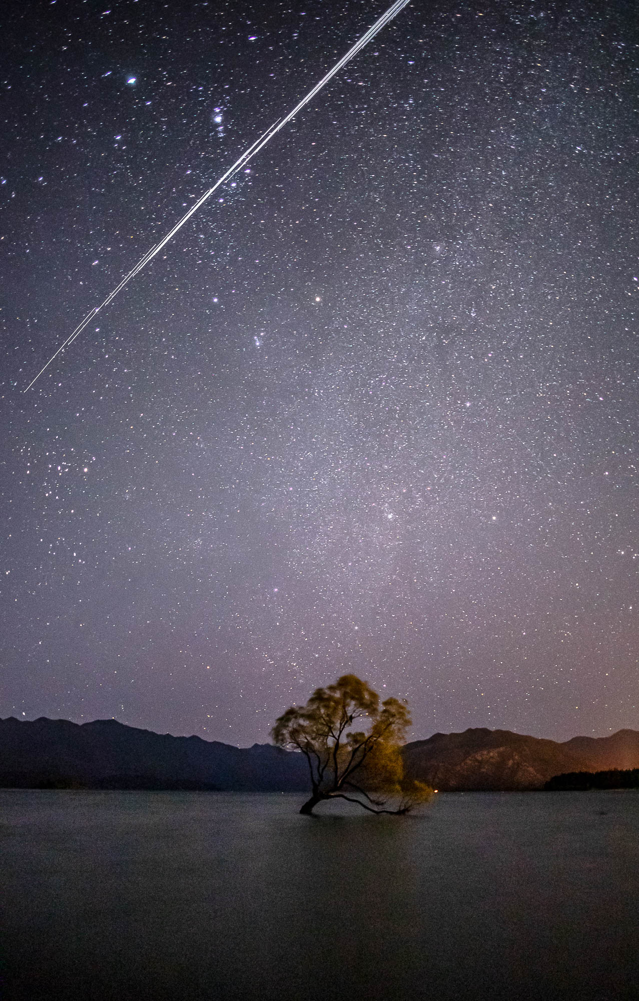 The famous 'Wanaka Tree', New Zealand, lit up by a starlit sky SpaceX Starlink space stations passing above.