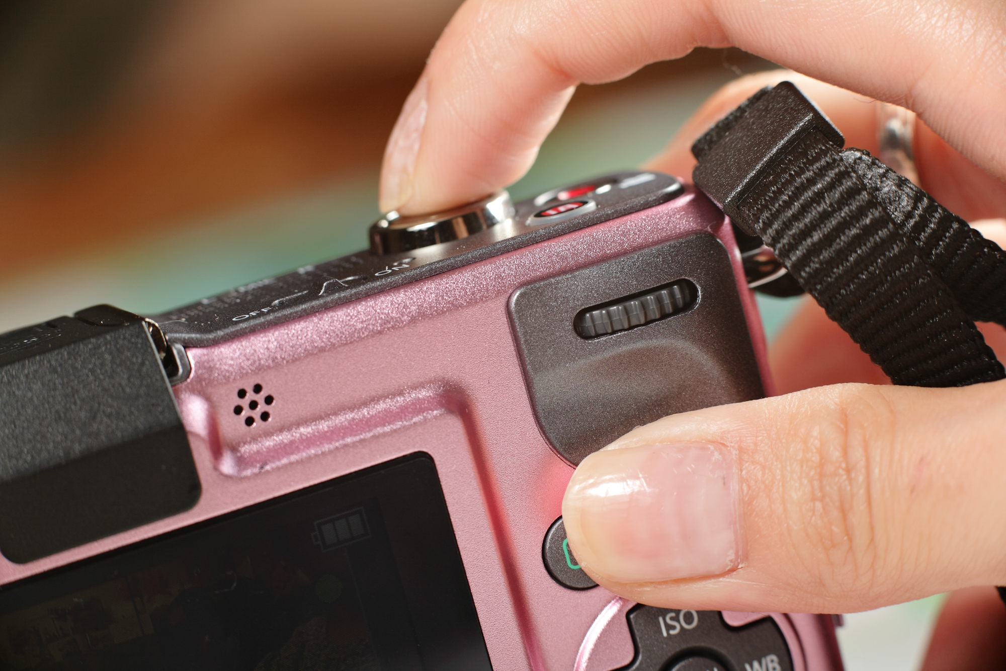 Taking a photo with a compact camera