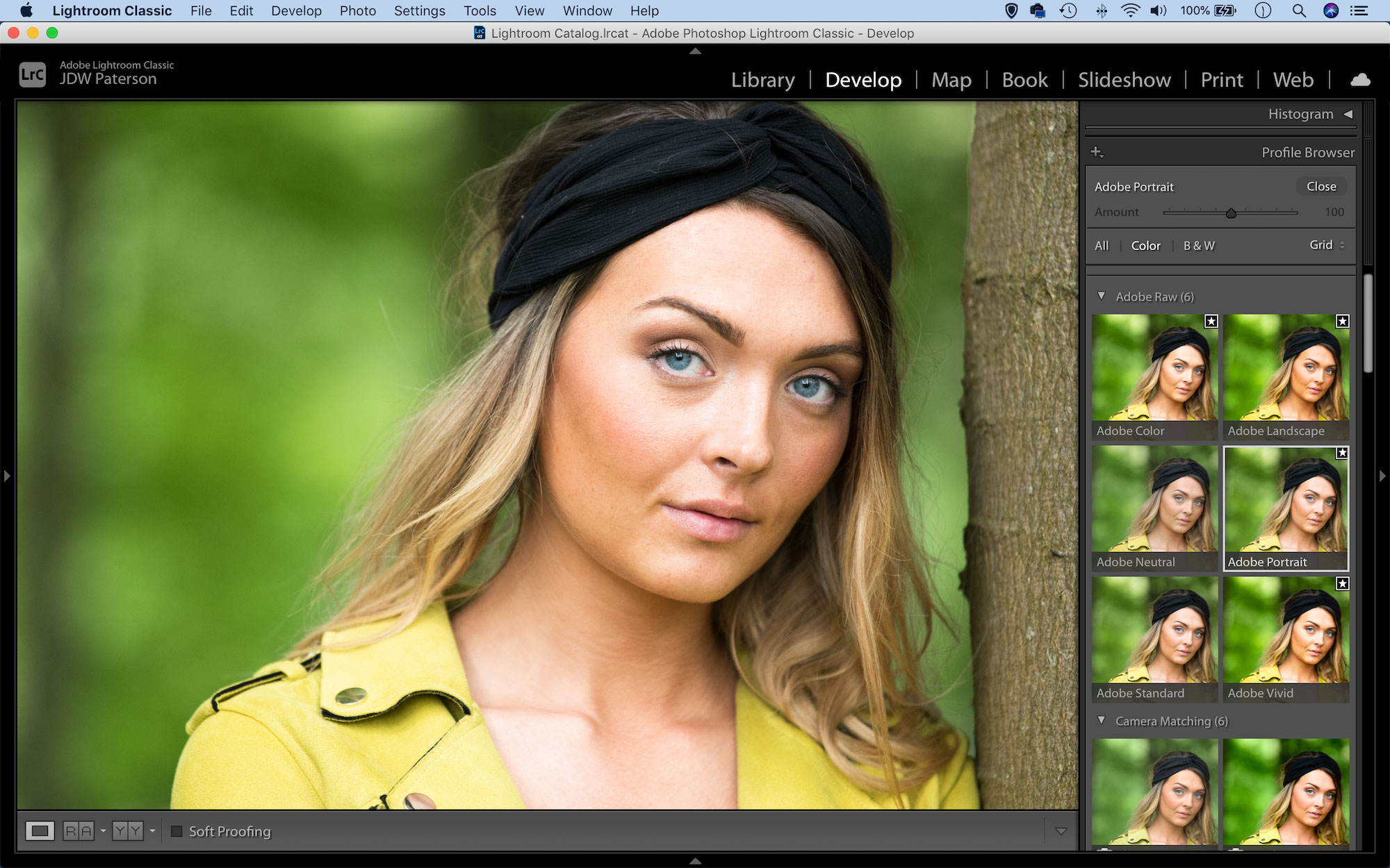 Screenshot of the profile browser in Lightroom
