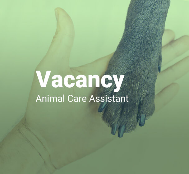 Vacancy Animal Care Assistant Autism Dogs CIC