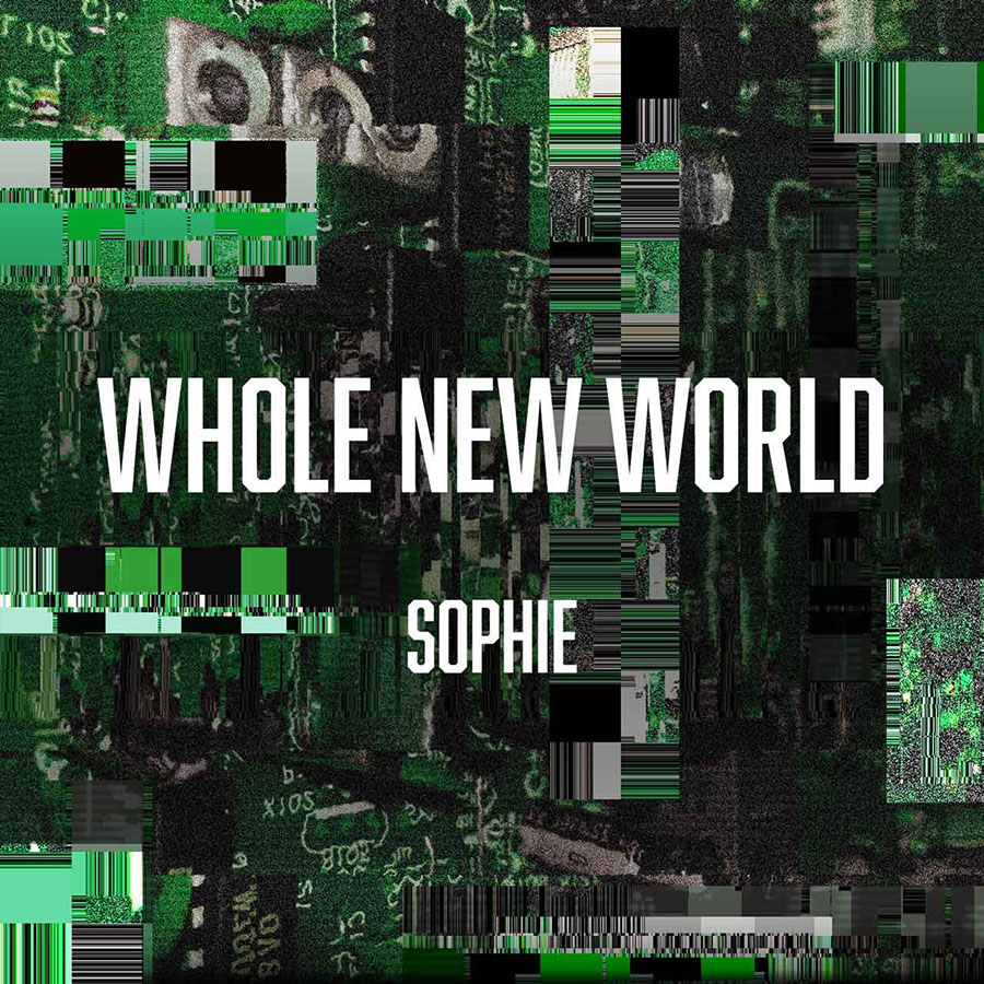 Whole New World cover art.