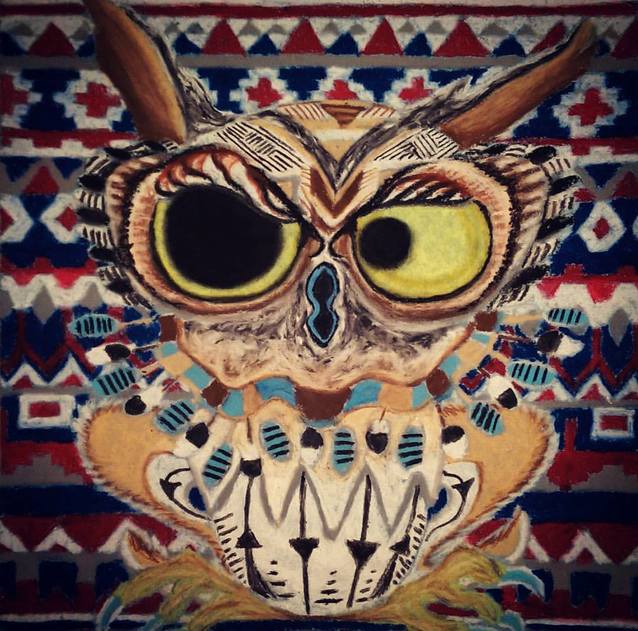 A picture of an owl that I drew using Pastels.
