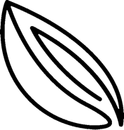 Cocoa logo Matahari gt