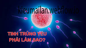 Tinh trùng là gì? Đôi điều về tinh trùng ai cũng nên biết
