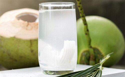 Bị trĩ nên uống nước dừa