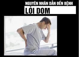 nguyên nhân lòi dom