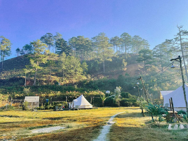 Tất tần tật về cắm trại sang chảnh - trào lưu “ngủ lều” đang hot nhất Đà Lạt, loạt sao Vbiz cũng phải mê tít - Ảnh 15.