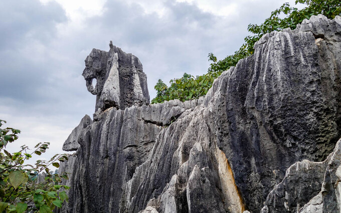 Rừng Đá Lớn, Rừng Đá Nhỏ và Rừng Đá Naigu có vô vàn khối đá với hình dạng khác nhau, từ hình thù động vật, thực vật đến hình người. Một số khối đá rất mịn với hình thù tinh tế, một số gồ ghề, mỗi khối đều độc nhất vô nhị. Ảnh: Kaspersky