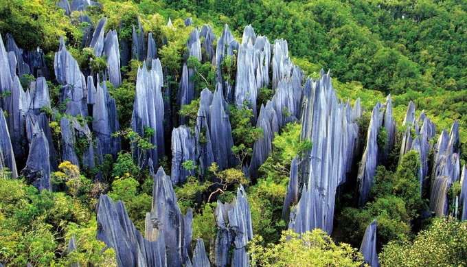 Hai trong số những khu rừng đá nhỏ, rừng đá Naigu và làng Suogeyi, là một phần của Karst Nam Trung Quốc - khu vực đa dạng sinh học nổi tiếng về karst đá vôi đã trở thành Di sản Thế giới UNESCO vào năm 2007. Ảnh: China Easy Tour