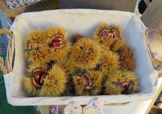 Khám phá ngôi làng trên núi cao, được ví như
