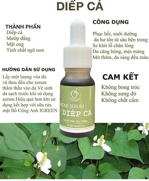 Serum diếp cá IGreen – Top những sản phẩm uy tín dành cho da mụn - 3