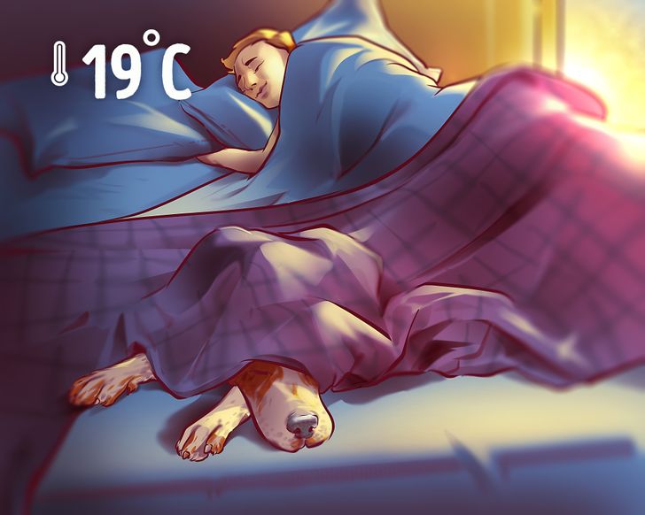 10 cách lười vẫn giảm cân không cần tập thể dục - 6