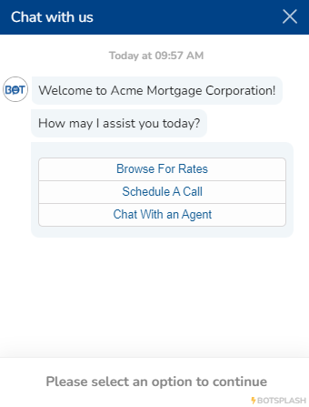 Chat Options