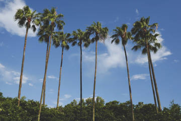 personal injury law firm south florida