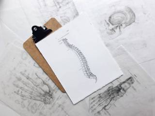 florida spinal cord injury attorney