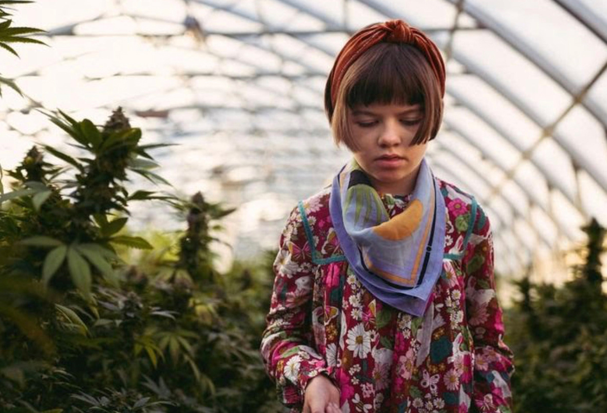 Charlotte Figi, CBD and the Charlotte's Cake Cartridge