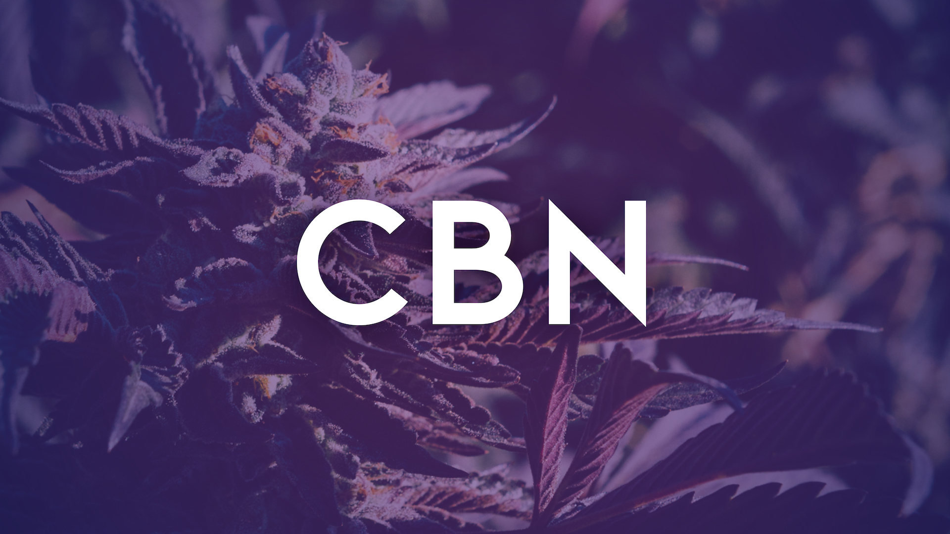 Cannabinoid of the Week: CBN