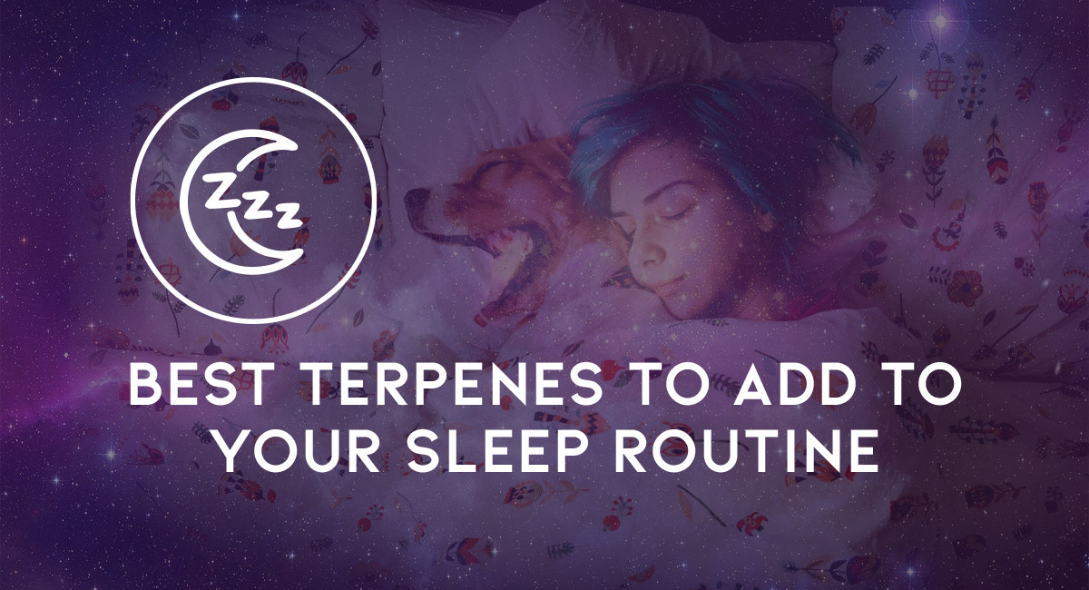 The Best Terpenes to Add to Your Sleep Routine
