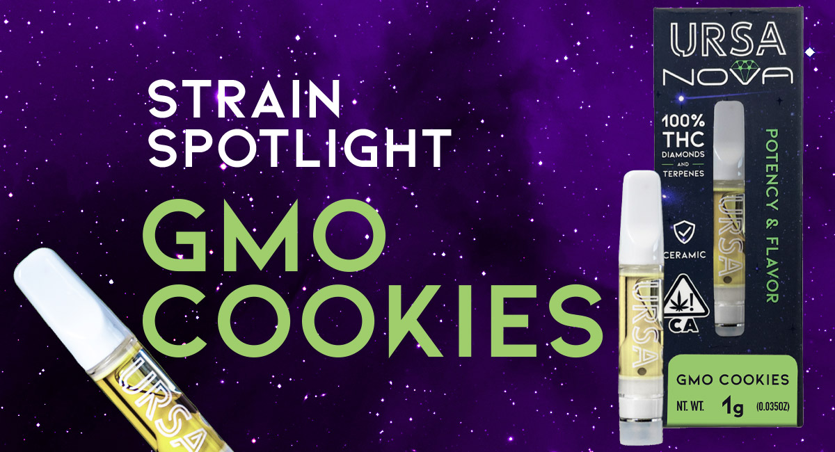 Strain Spotlight: GMO Cookies