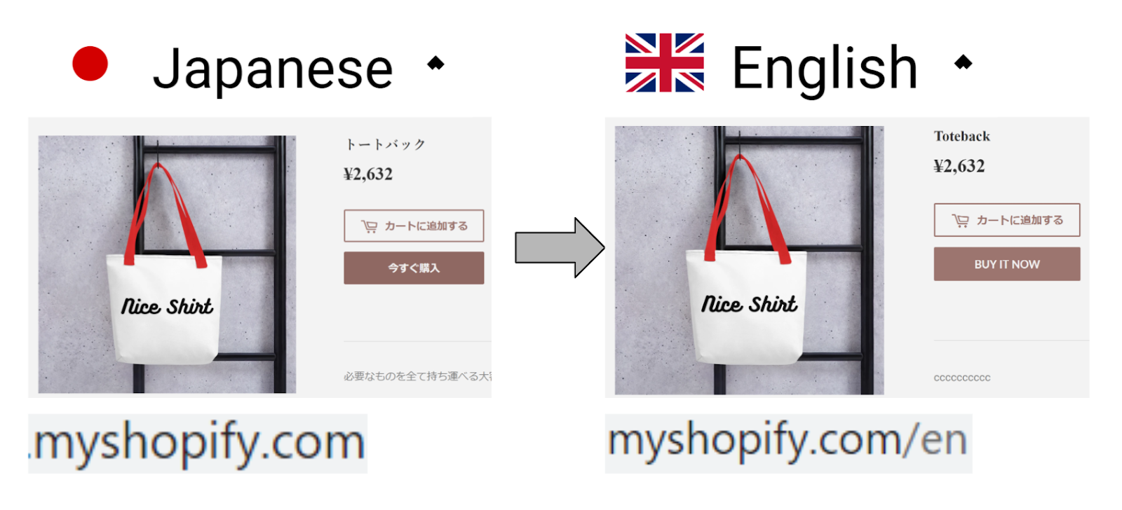 参考画像