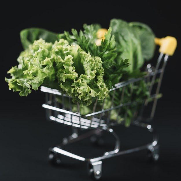 nutrition during pregnancy