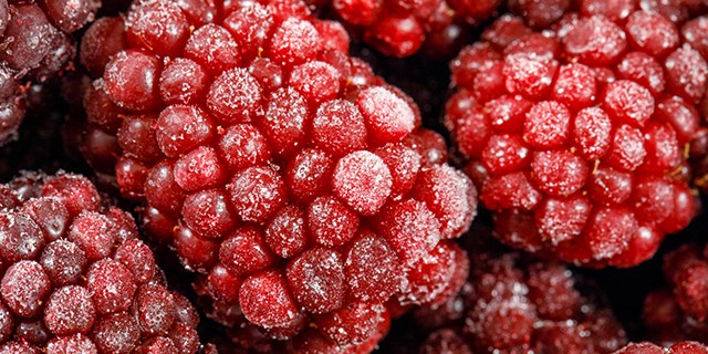 mulberry benefits
