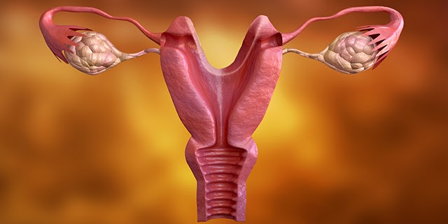 endometriosis meaning
