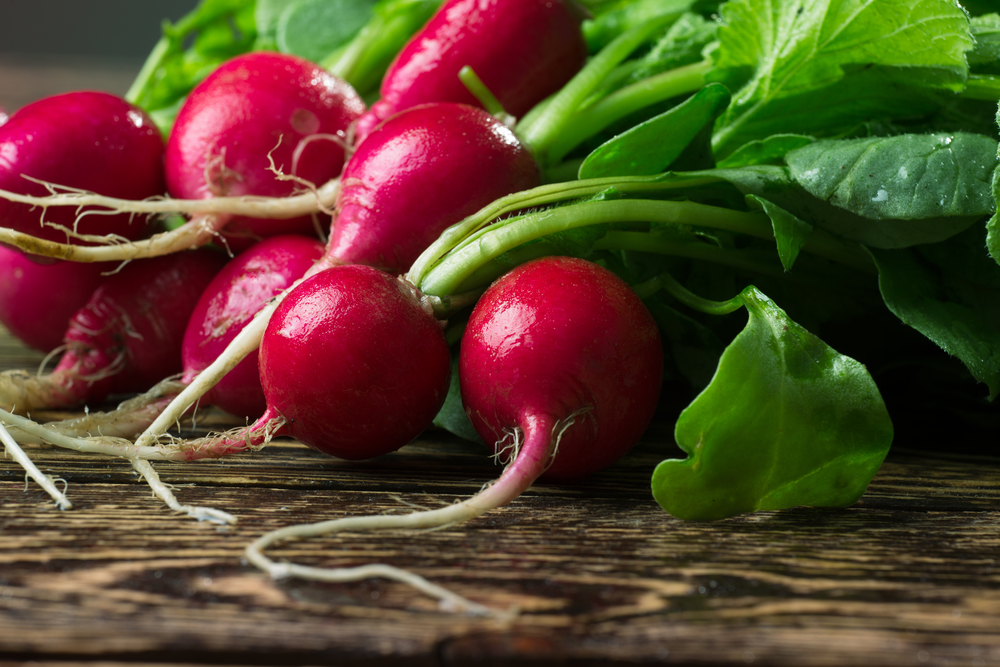 immunity boosting foods for adults