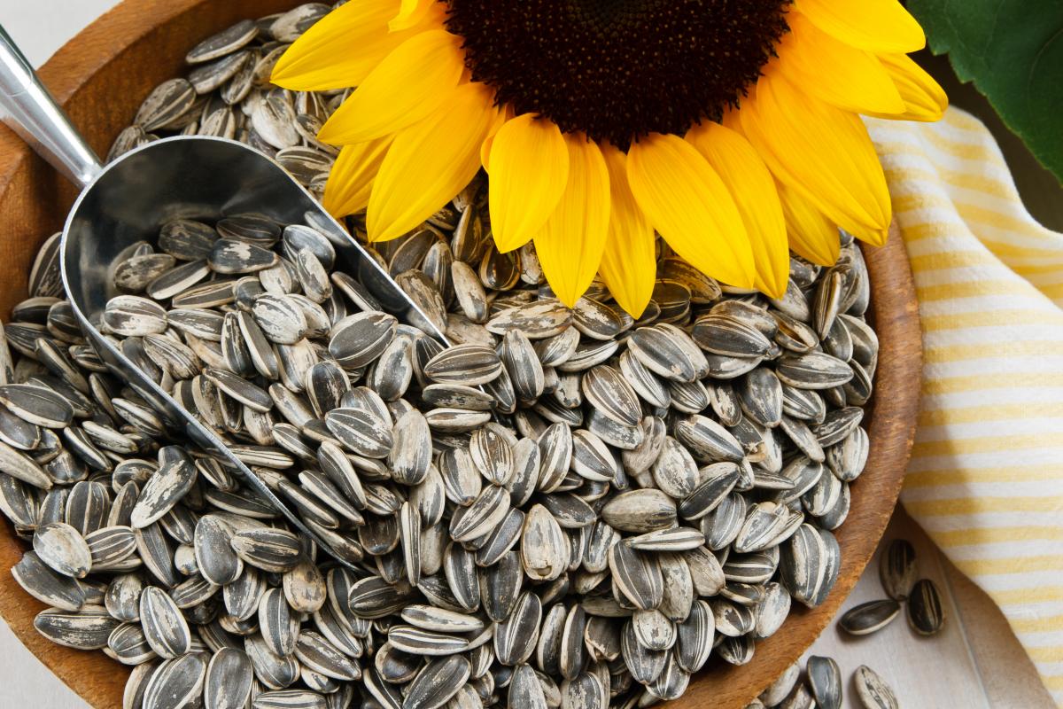 immunity boosting foods for adults