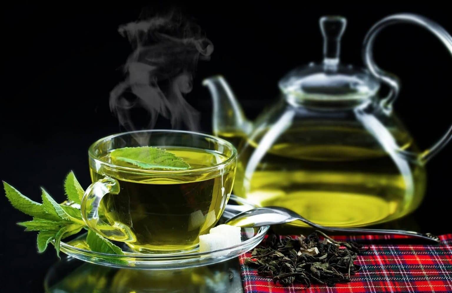 immunity boosting foods for adults