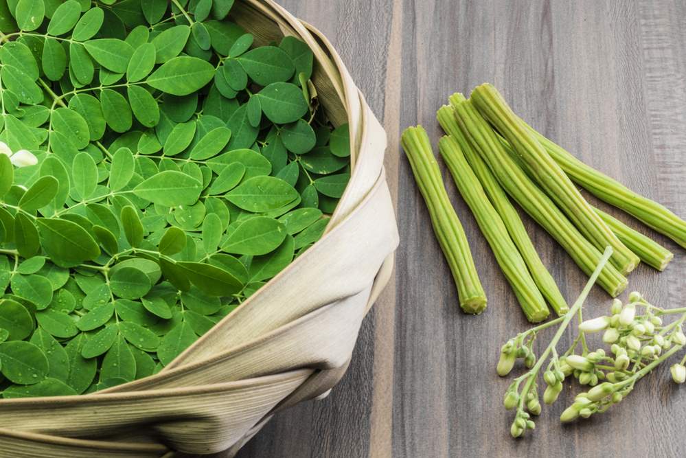 immunity boosting foods for covid