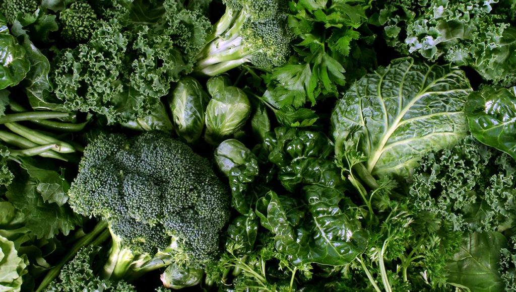 pcos diet plan to lose weight