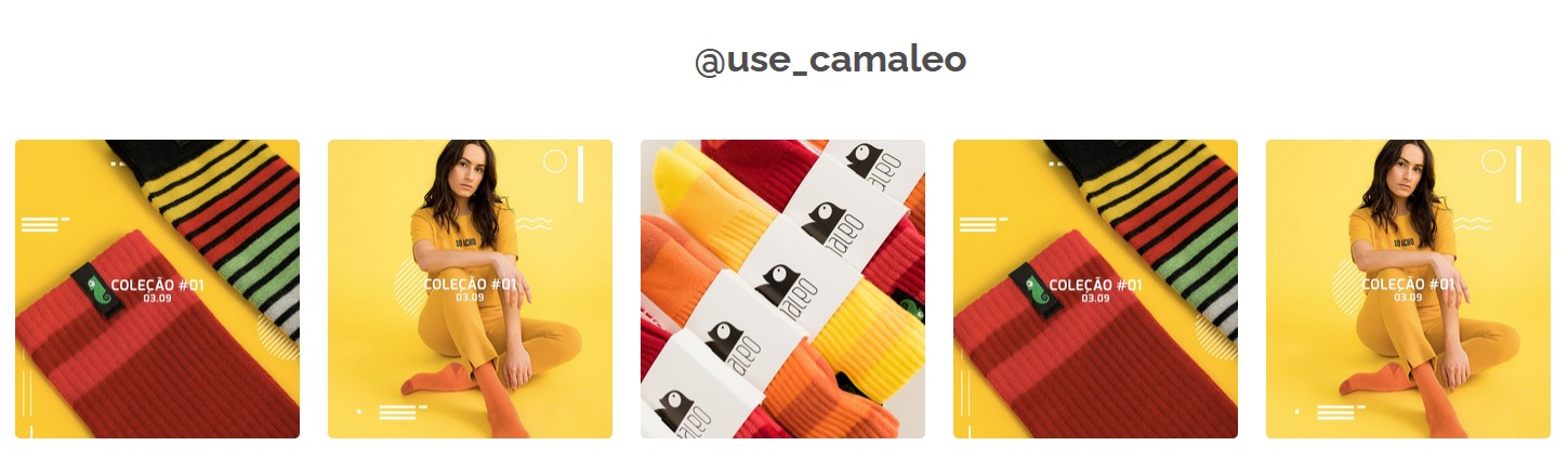 Como a Camaleo integra seu Instagram à loja