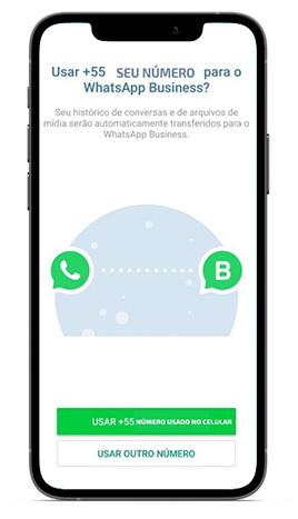 WhatsApp Business - Tela de Instalação